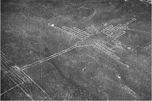 Aerial view of a Nazca line depicting a hummingbird. (CORBIS CORPORATION)