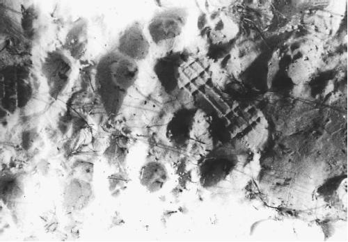 Alien footprint. (ARCHIVES OF  BRAD STEIGER)